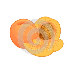 Peaches on a white background. Vector illustration.