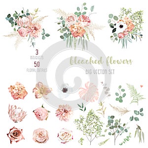 Peachy pink roses, ranunculus, white anemone, dried protea, dahlia big vector design set. photo