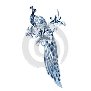 Peacock bird and blue iris flowers. Hand drawn watercolor illustration isolated on white background. Indigo monochrome design