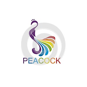 Peacock bird icon