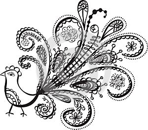 Peacock bird line art