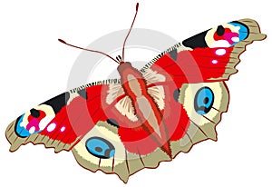 Peacock butterfly, Inachis io, vector