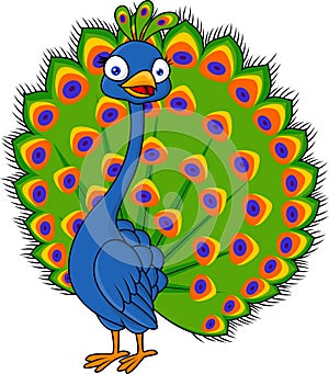 Peacock cartoon