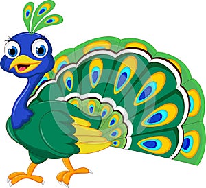 Peacock cartoon for you design