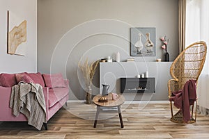 Peacock chair with blanket in grey living room interior with pastel pink couch and coffee table