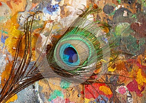 Peacock colorful tail on the old wooden artistic pallette