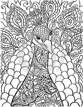 Peacock coloring book page. Antistress coloring pages for adults