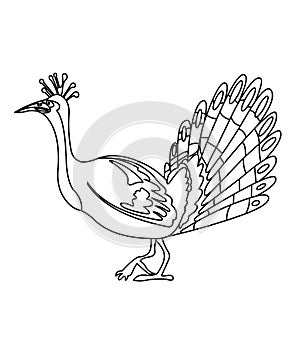 Peacock coloring page