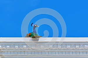 Peacock on the Entablement