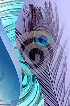 Peacock father with abstract blue shaded Background. Vector Illustration