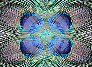 Peacock feather abstract design