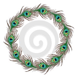Peacock feather banner photo