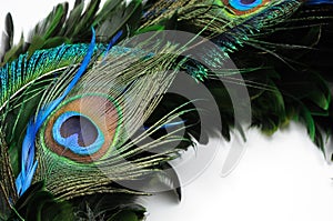 Peacock feather eye