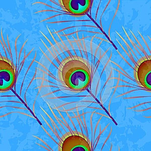 Peacock feather. Grunge texture. Seamless pattern. Blue background