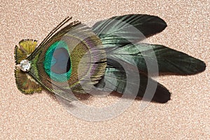 Peacock Feather Hair Clip