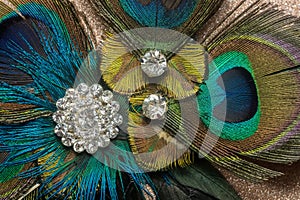 Peacock Feather Hair Clip