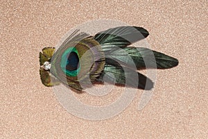 Peacock Feather Hair Clip