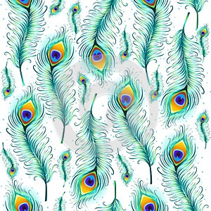 Peacock feather seamless pattern.