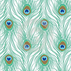 Peacock feather seamless pattern