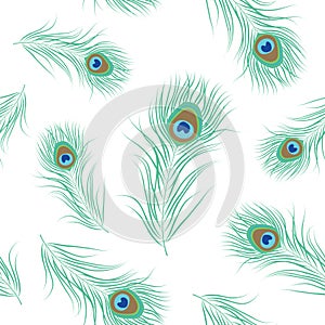 Peacock feather seamless pattern