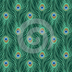 Peacock feather seamless pattern