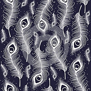 Peacock feather seamless pattern.