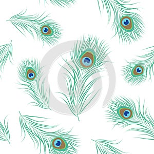 Peacock feather seamless pattern photo
