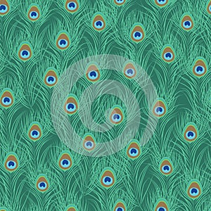 Peacock feather seamless pattern