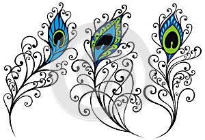 Peacock feather set for your design.
