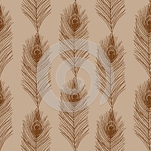 Peacock Feather Vector seamless Pattern. Outline illustration of quills Background. Line art of bird plumes. Hand drawn