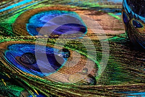 Peacock feather and waterdrops