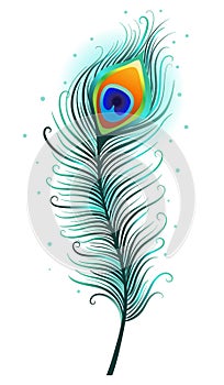 Peacock feather on a white background.