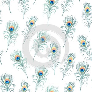 Peacock feathers cyan seamless vector print