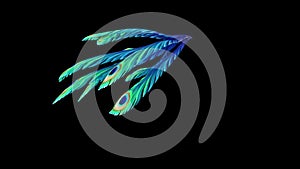 Peacock Feathers Multicolor Silhouette Run Alpha Matte 3D Rendering Animation