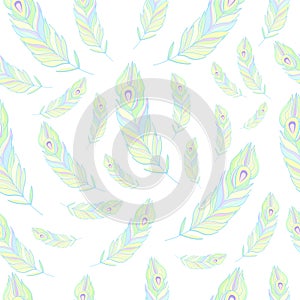 Peacock Feathers Seamless Pattern Vector