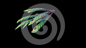 Peacock Feathers Silhouette Run Alpha Matte 3D Rendering Animation
