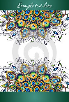 Peacock feathers, vector design of cover