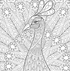 Peacock with feathers in zentangle style. Freehand sketch