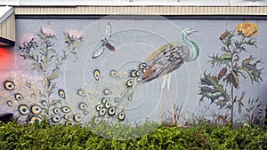 Peacock, flowers and other insects on the side of a building in Oak Cliff, Texas.