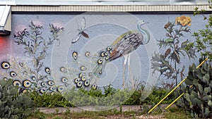 Peacock, flowers and other insects on the side of a building in Oak Cliff, Texas.