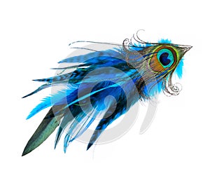 Peacock hair accessory