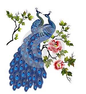 Peacock head on peony branch, painted watercolor with photoshop