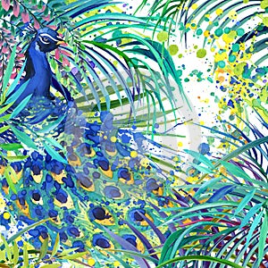 Peacock illustration.Tropical exotic forest, green leaves, wildlife, bird peacock watercolor illustration.