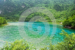 Peacock lake, one of the largest lake in Jiuzhaigou national park