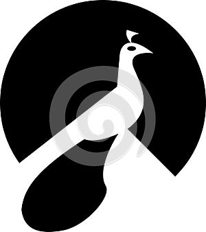 Peacock logo