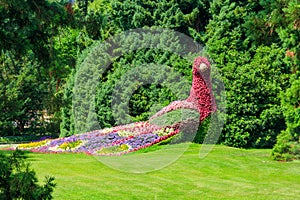 Peacock made of flowers on island of flowers Mainau on Lake Constance, Germany