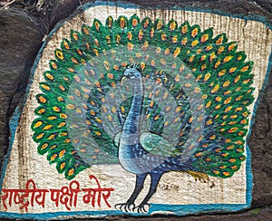Peacock is the national bird of the india
