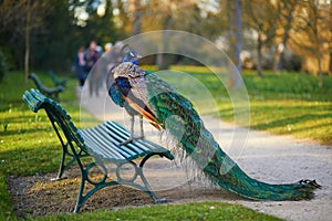 Peacock sitting on the bench in Bagatelle park of Bois de Boulogne, Paris, France