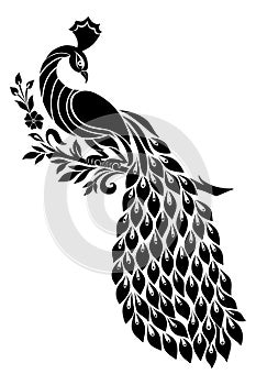 Peacock stencil design black doodle print, engraved retro pattern  decorative design tattoo black and white filigree calligraphic