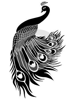 Peacock stencil design black doodle print, engraved retro pattern decorative design tattoo black and white filigree calligraphic